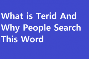 What is Terid And Why People Search This Word