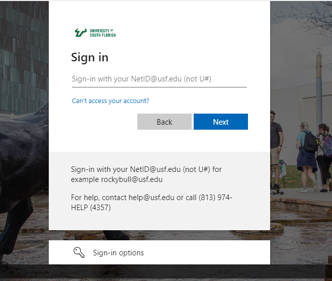 How To Myusf Login & Everything You Need To Know About